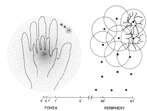 samplelattice